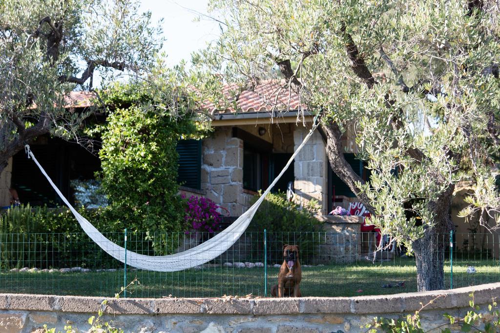 Il Borgo Centro Vacanze Guardistallo Exterior photo